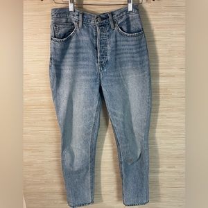 Aritzia Jeans Nina stovepipe